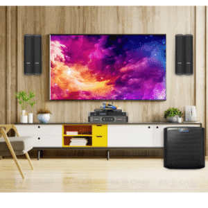 Artist T43 11 Artist T43 5