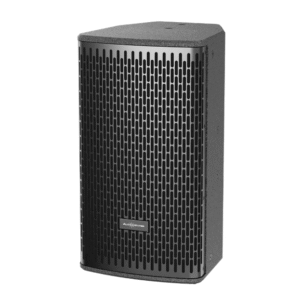 DS10