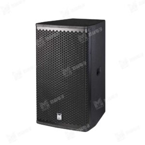 Loa nguồn điểm J-12