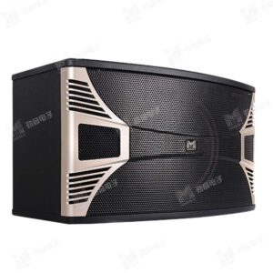 Loa nguồn điểm KG-810
