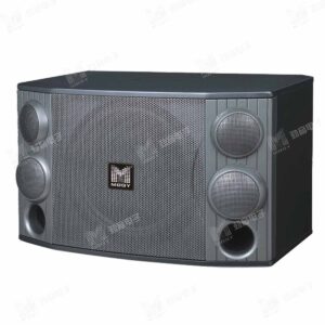 Loa nguồn điểm KGM-850